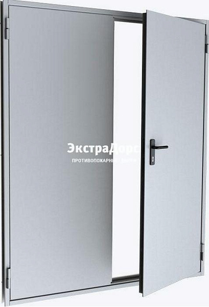 Противопожарная дверь двухстворчатая дымогазонепроницаемая в Дзержинском  купить