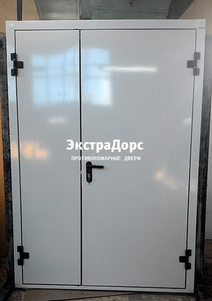 Противопожарная дверь EI 30 3 типа двупольная белая в Дзержинском  купить