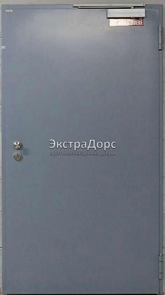 Противопожарная дверь однопольная дымогазонепроницаемая металлик в Дзержинском  купить