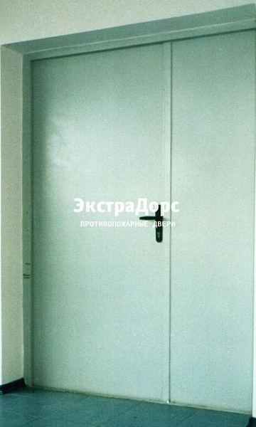 Противопожарная дверь двупольная белая без порога в Дзержинском  купить