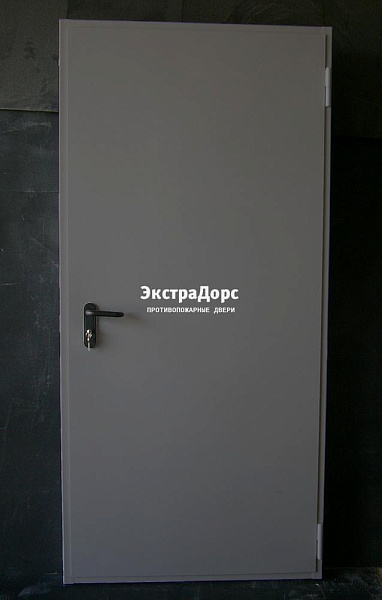 Дверь металлическая противопожарная EI 60 ДПМ 2 типа серая в Дзержинском  купить
